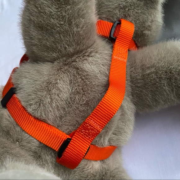 Set of 2 Adjustable Step In Nylon Small Dog Breed Harness with Buckle Closure - Picture 12 of 16